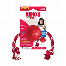 Kong ���� - ���� �� ��� ���� S