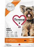 First Choice ����� �`��� 2 �"� ���� ��� ������ ������ ���� ��� (���������)