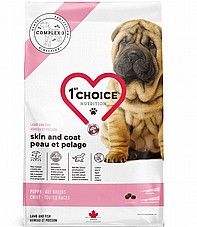 First Choice ����� �'��� 11 �"� ���� ��� ������ ����� ���� ���