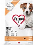 First Choice ����� �'��� 7 �"� ���� ��� ����� ����� ���� ��� (������')