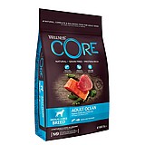 Wellness CORE ����� ��� 10 �"� ���� ��� ������ ������ ���� �� (���� )