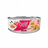 Belif ���� 80 ��� ���� ���� (����) ����� ���� ���� ������ ����� �����