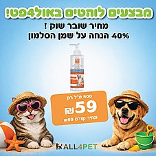 ����� ����   -  �� ��� ��� 500 �"� ��� ����� ������ ����� �����!!!