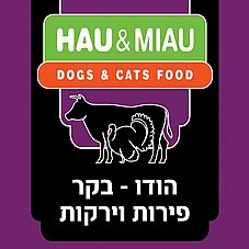Hau&Miau ��� ���� 6 �"� ���� ���� ���� ������ ���� ��� ������