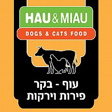 Hau&Miau ��� ���� 6 �"� ���� ���� ���� ������ ��� ��� ������