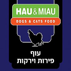 Hau&Miau ��� ���� 6 �"� ���� ���� ���� ������ ��� ������