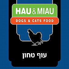 Hau&Miau ��� ���� 6 �"� ���� ���� ���� ������ ��� ����