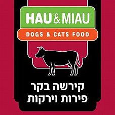 Hau&Miau ��� ���� 6 �"� ���� ���� ���� ������ ����� ��� ������