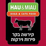 Hau&Miau ��� ���� 6 �"� ���� ���� ���� ������ ����� ��� ������