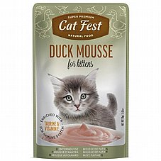 Cat Fest �� ��� 70 ��� ���� ���� (����) ������� ����� ���� ��� �����