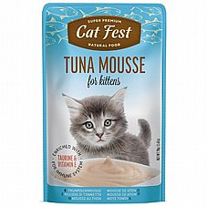Cat Fest �� ��� 70 ��� ���� ���� (����) ������� ����� ���� ��� ����
