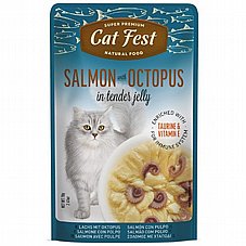 Cat Fest �� ��� 70 ��� ���� ���� (����) ������� ���� ���� ����� �� �����