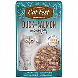 Cat Fest �� ��� 70 ��� ���� ���� (����) ������� ����� ���� ���� ����� �� ����� ����