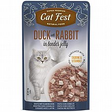Cat Fest �� ��� 70 ��� ���� ���� (����) ������� ���� ���� ����� �� ���� ����