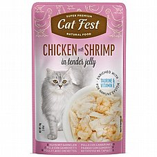 Cat Fest �� ��� 70 ��� ���� ���� (����) ������� ���� ���� ��� �� ������