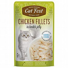 Cat Fest �� ��� 70 ��� ���� ���� (����) ������� ���� ���� ��� ����