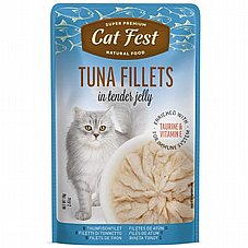 Cat Fest �� ��� 70 ��� ���� ���� (����) ������� ���� ���� ���� ����