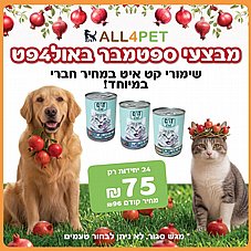 ����� ������ - ��� ������ ����� ����� ����� �����!
