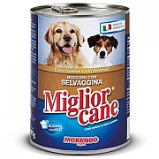 Miglior Cane �������� ���� 405 ��' ���� ���� (�������) ������ ������ (���)