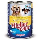  miglior gatto ������� ���� 405 ��` ���� ���� (�������) ������ ������ ���� ��� �����