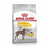 Royal Canin רויאל קנין 12 ק