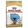Royal Canin רויאל קנין 12 ק