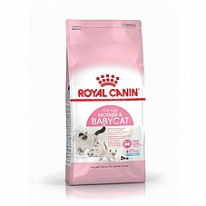 Royal Canin ����� ���� 4 �"� ���� ��� ������� ����� (���'� ����� ���)