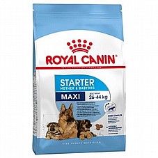 Royal Canin ����� ���� 4 �"� ���� ��� ������ ���� ���� �������, ������ ����� ���� (���� ������)