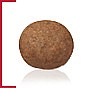 Royal Canin ����� ���� 4 �