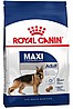 Royal Canin רויאל קנין 4 ק