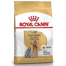 Royal Canin ����� ���� 1.5 �"� ���� ��� ������ ������ ���� �������� �����