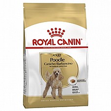 Royal Canin רויאל קנין 1.5 ק