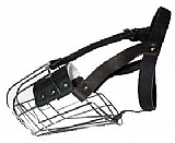 ����� ���� ���� ����