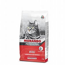 MORANDO ������ 2 �"� ���� ��� ������� ������ ���� ��� ����