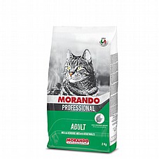 MORANDO ������ 2 �"� ���� ��� ������� ������ ���� ���� �����