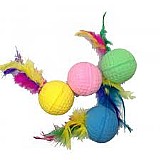 ����� ����� ���� ����