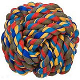 ���� ����� 