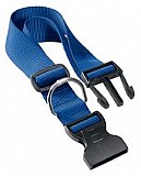 ���� ���� ������ - ���� �� 20