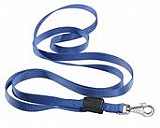 ����� ������ ���� ���