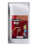 �������� P-15 ������� - 10 �"�