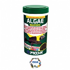 Prodac ������ 125 ��� ������ ���� ��� ���� ������ (���'� �����)