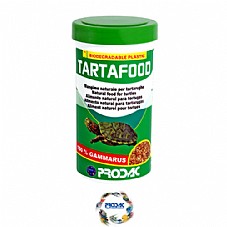 Prodac ������ 31 ��� ���� ��� ��� ���� ��� (�������)
