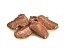 Royal Canin רויאל קנין 10 ק'ג מזון יבש לגורי חתולים מגזע מיין קון