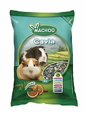 Machoo ���'� 1 �"� ������ ���� ����� (����)