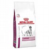 Royal Canin רויאל קנין 2 ק