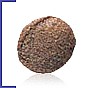 Royal Canin רויאל קנין 3.5 ק