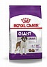 Royal Canin רויאל קנין 15 מזון יבש לכלבים בוגרים מגזע ענק (ג'אינט אדולט)