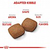 Royal Canin רויאל קנין 15 ק