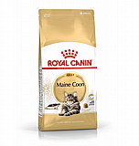 Royal Canin רויאל קנין 10 ק"ג מזון יבש לחתולים בוגרים מגזע מיין קון Royal Canin רויאל קנין 10 ק"ג מזון יבש לחתולים בוגרים מגזע מיין קון