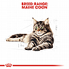 Royal Canin רויאל קנין 10 ק